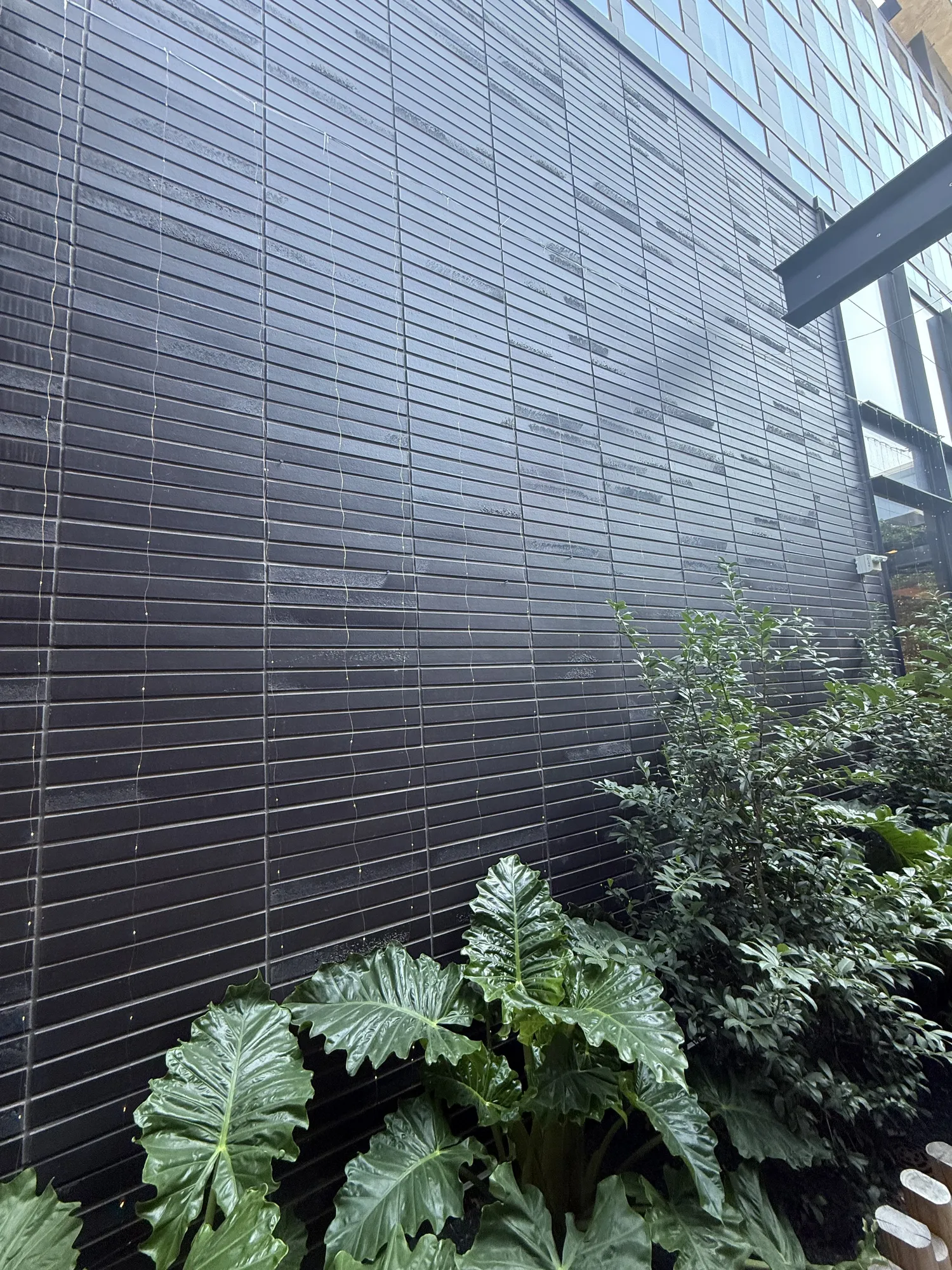 King Klinker thin brick, Kimpton Santo, San Antonio, Texas